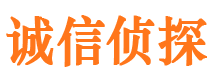 西山市私人调查